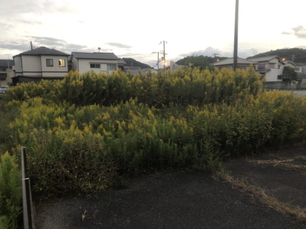 高砂市にて草刈りを行いました。
