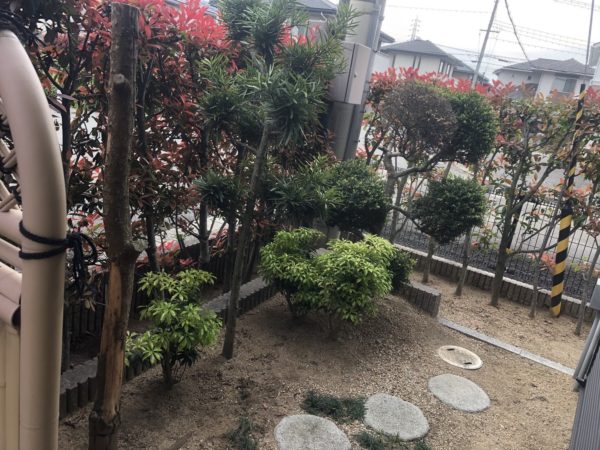 姫路市で庭の剪定をさせて頂きました。