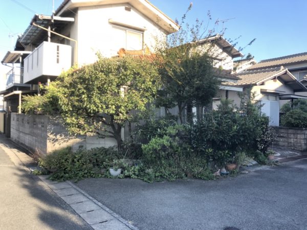 姫路市で剪定を行いました